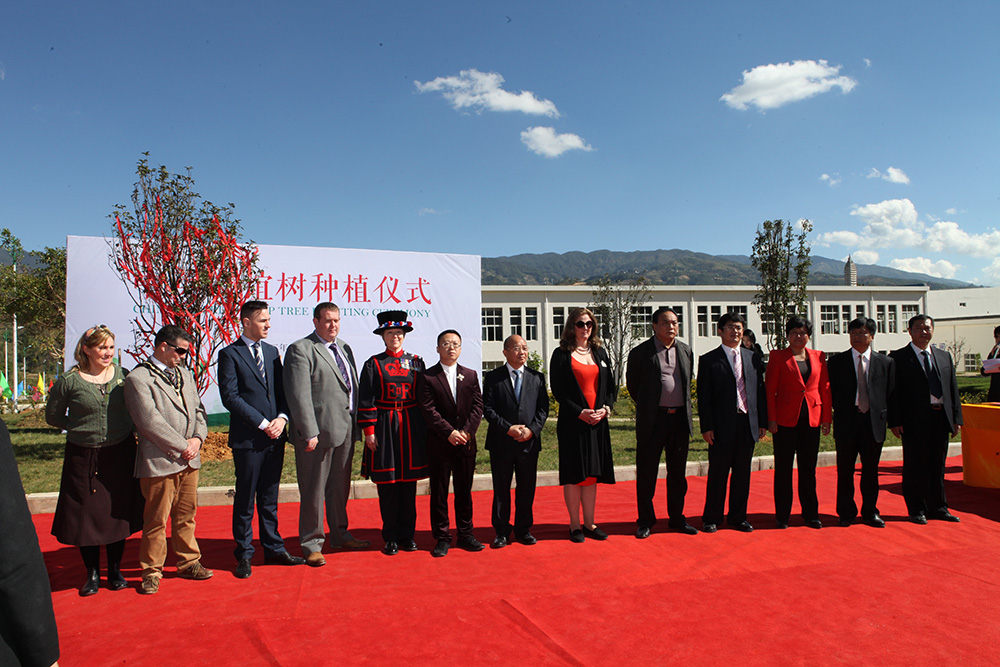 2013年11与20日，尊龙凯时集团“中英友谊树”植树活动仪式